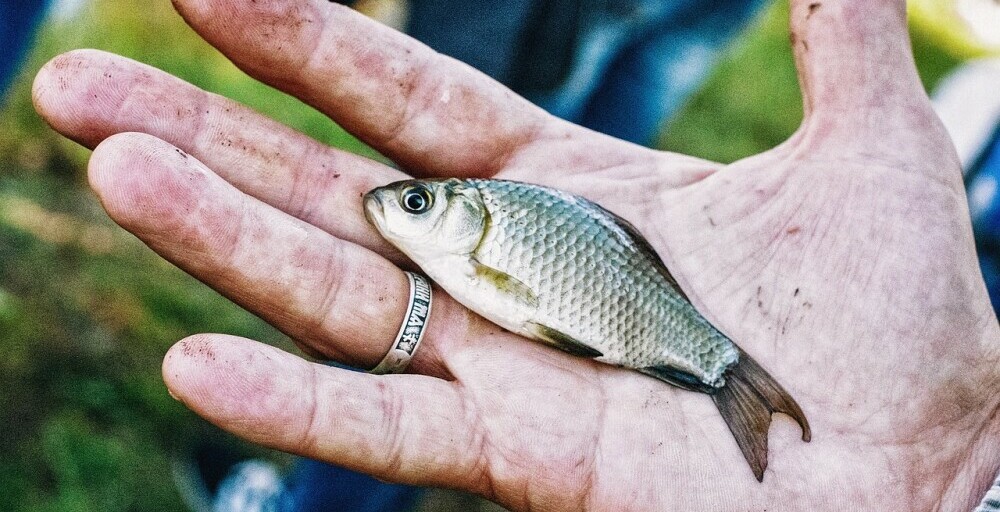 catch and release fishing